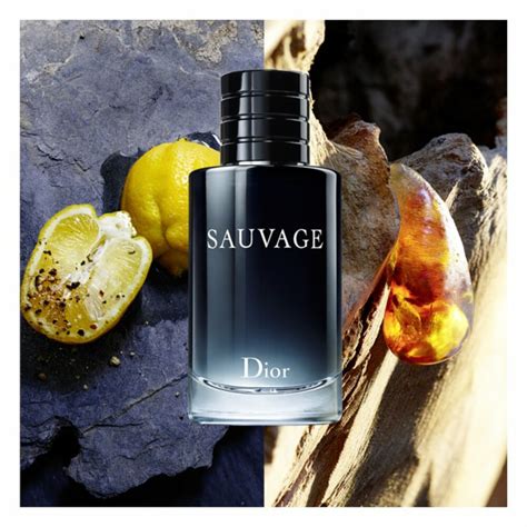 sauvage dior geurnoten|Meer.